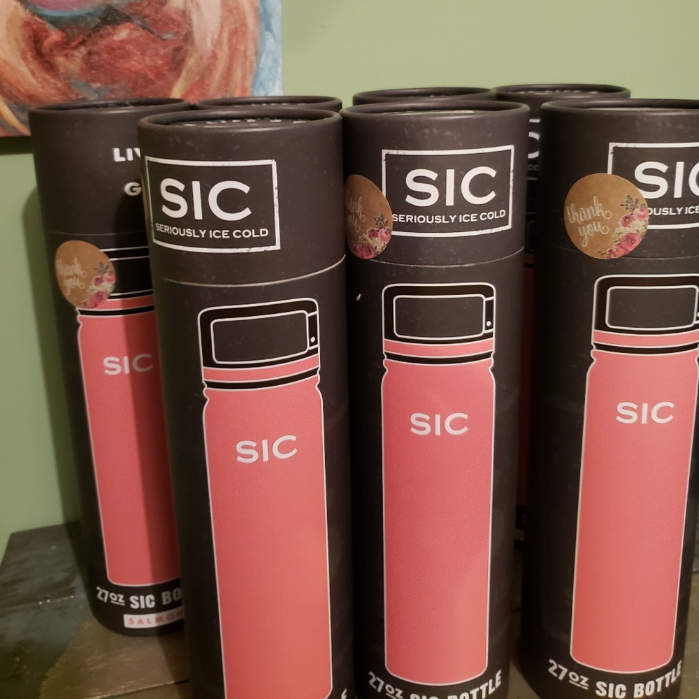 Salmon SIC Insulated Bottle